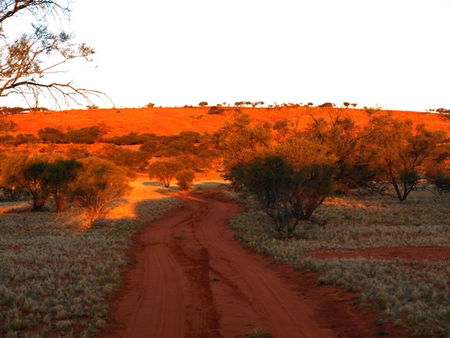 Wogarno Homestead - eAccommodation 1