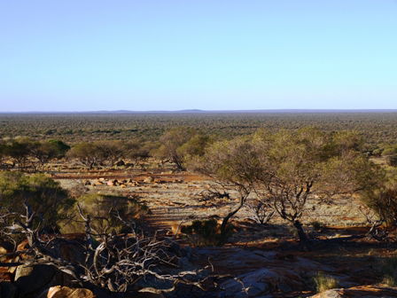Wogarno Homestead - eAccommodation 2