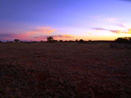 Wogarno Homestead - eAccommodation 4