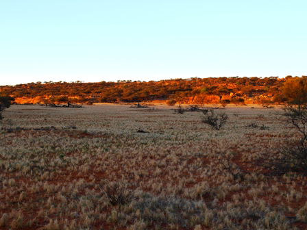 Wogarno Homestead - eAccommodation 5