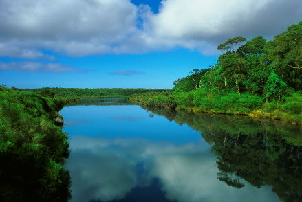 Nutkin Lodge - eAccommodation 3