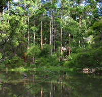 Peppermint Grove Retreat - eAccommodation