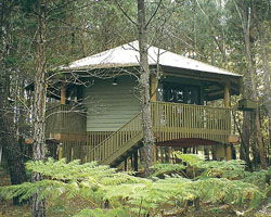 Possums Hideaway - eAccommodation 0