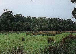 Bush Haven - eAccommodation 4