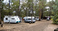 Lake Navarino Holiday Park - eAccommodation 3