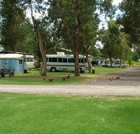 Harvey Rainbow Caravan Park - eAccommodation