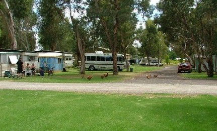 Harvey Rainbow Caravan Park - eAccommodation 0