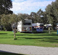 Pinjarra Caravan Park - eAccommodation