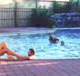 Shark Bay Caravan Park - eAccommodation