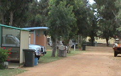 Horrocks Beach Caravan Park - eAccommodation 4