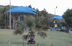 Horrocks Beach Caravan Park - eAccommodation 5