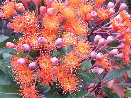 Nutkin Lodge - eAccommodation 5