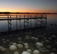 Lake Clifton Caravan Park - eAccommodation