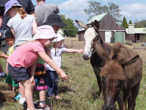 Barkeldine Farm Country Retreat - eAccommodation 2