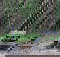 Boundary Falls campground and picnic area - eAccommodation