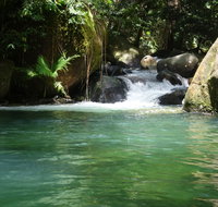 Daintree Secrets Rainforest Sanctuary - eAccommodation