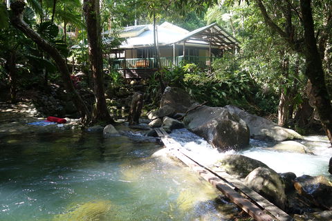Daintree Secrets Rainforest Sanctuary - eAccommodation 2