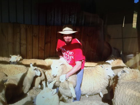 Farm Accommodation - eAccommodation 2
