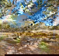 Kings Plains Creek campground - eAccommodation
