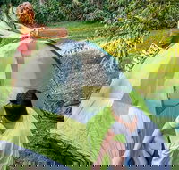 Native Dog campground - eAccommodation