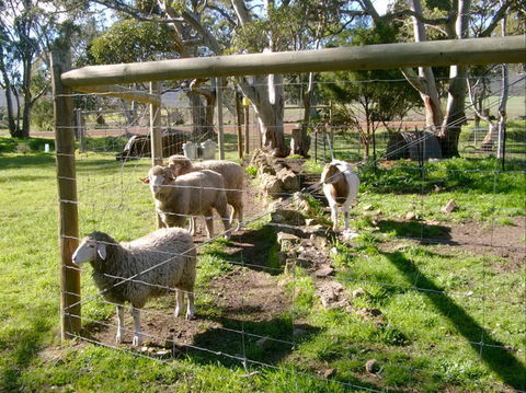 Nyroca Campsite & Group Accommodation - eAccommodation 2