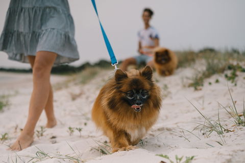 Reflections Holiday Parks Mylestom - eAccommodation 1