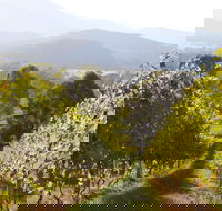 Rosetta's Garden Guesthouse - eAccommodation