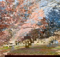 Tumbarumba Caravan Park - eAccommodation