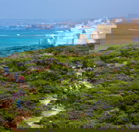 Twelve Apostles Lodge Walk - eAccommodation
