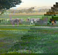 Wallinga Studio Farmstay - eAccommodation