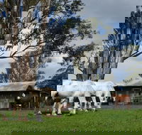 Woodenbong B and B - eAccommodation