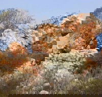 Credo Homestead Camp at Credo Conservation Park - eAccommodation