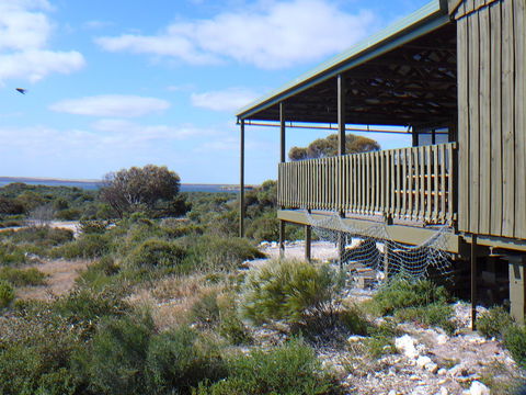 Melaleuca - Eco And Pet Friendly,  Harbor Point Cabins - eAccommodation 1