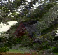 Turkeys Nest Rainforest Cottages Mt Glorious - eAccommodation