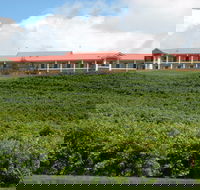 Turners Vineyard Motel - eAccommodation
