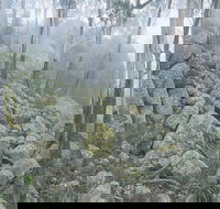 Waratah Gully campground - eAccommodation