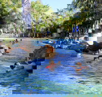 Big4 Aussie Outback Oasis Holiday Park - eAccommodation