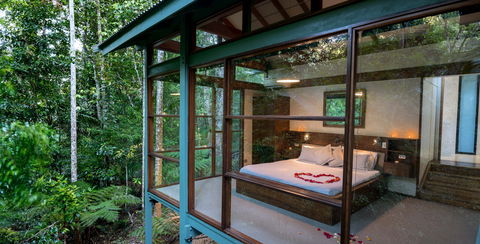 Crystal Creek Rainforest Retreat - eAccommodation 2