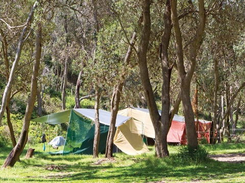 Pebbly Beach Campground - Yuraygir National Park - eAccommodation 1