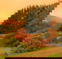 Red Rooster Host Farm - eAccommodation