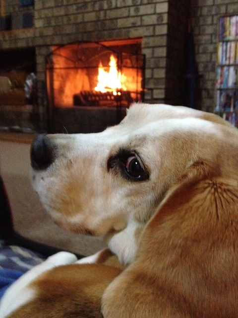 The Retreat On Matthew - eAccommodation 1