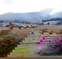 The Barn  House Farm Stay at Possum Manor - eAccommodation