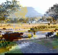 Tommerups Dairy Farmstay - eAccommodation