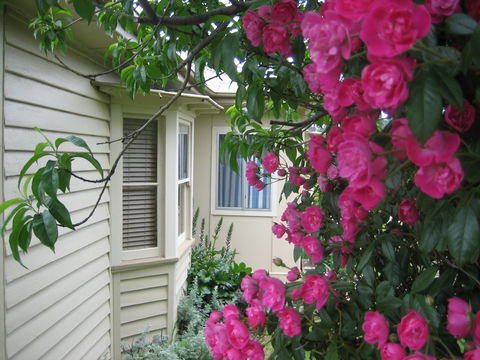 Valley Views Bed And Breakfast - eAccommodation 0