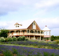 Serendipity Lavender Farm - eAccommodation