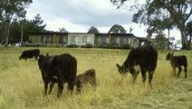 Bumblebrook Farm Motel - eAccommodation 1