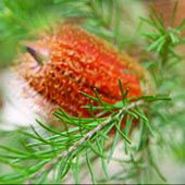 Wide Horizons Bed And Breakfast - eAccommodation 3