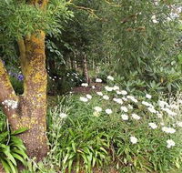 Springbank Bed and Breakfast - eAccommodation
