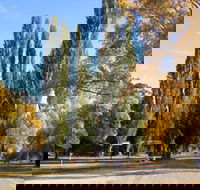 Omeo Caravan Park - eAccommodation