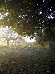 Corinella Country House - eAccommodation 4